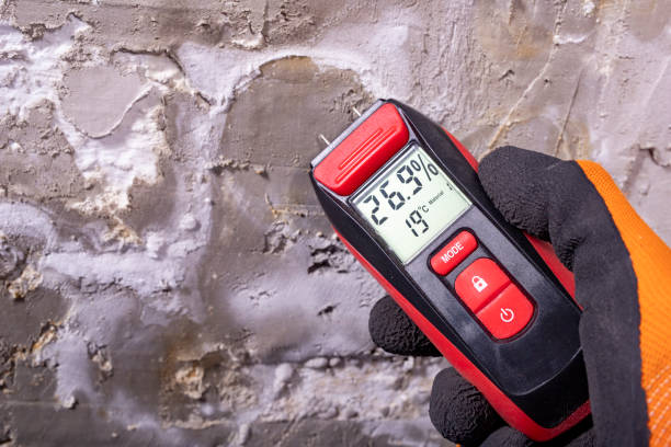 Best Commercial Mold Remediation in Wfield, IN